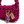 KNOTTY - Fucsia