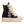 CALIPSO 300 BEAR EDITION – Crema